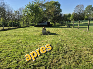 Photo de galerie - Tonte de pelouse - Débroussaillage