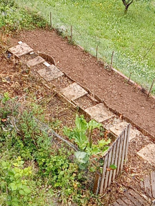 Photo de galerie - Et voilà après le défrichage du potager 