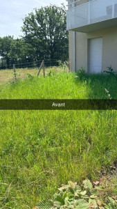 Photo de galerie - Tonte avant