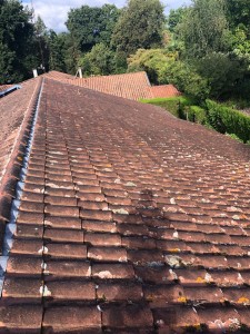 Photo de galerie - Couverture - Toiture