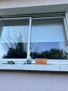 Photo de galerie - Nettoyage des vitres et  toute surface du logement 