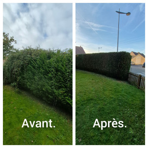 Photo de galerie - Taille de haie
