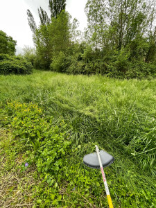 Photo de galerie - Tonte de pelouse - Débroussaillage