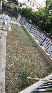 Photo de galerie - Jardinage