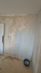 Photo de galerie - Revêtement en cours des mûrs ayant 3 papier peint de collé !