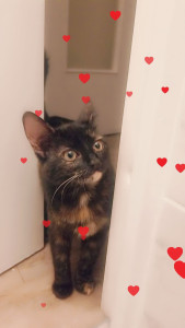 Photo de galerie - Ma beauté 