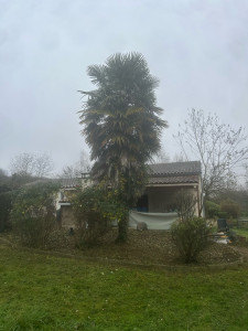 Photo de galerie - Intervention nettoyage  débroussaillage 79190