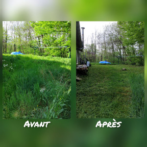 Photo de galerie - Tonte de pelouse - Débroussaillage