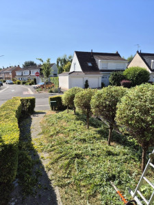 Photo de galerie - Taille de haie et d'arbustes 