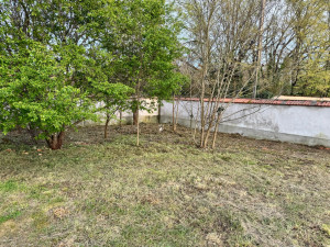 Photo de galerie - Débroussaillage 