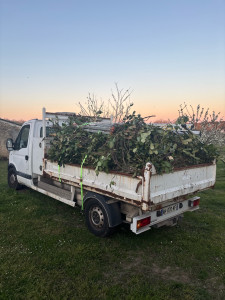 Photo de galerie - évacuation de déchets 