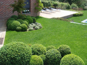 Photo de galerie - Aménagement tonte, débroussaillage, désherbage, nettoyage de déchets verts