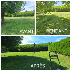 Photo de galerie - Tonte d'un terrain de 800m carré 
