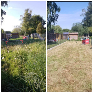 Photo de galerie - Débroussaillage et tonte