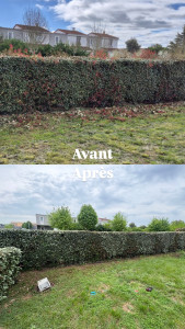 Photo de galerie - Taille