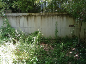 Photo de galerie - Jardin,avant création 