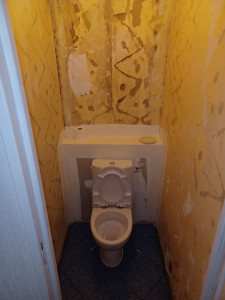 Photo de galerie - Carrelage toilettes (avant)