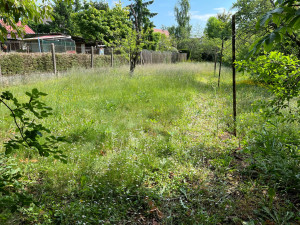 Photo de galerie - Tonte et débroussaillage sur ce terrain laisser longtemps sans travail 