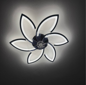 Photo de galerie - Installation d’un plafonnier ventilateur avec lumière 