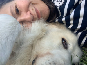 Photo de galerie - Garde chien