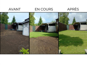 Photo de galerie - Préparation sol et pose de gazon en rouleau, effet immédiat