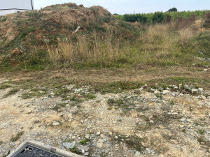 Photo de galerie - Evacuation de 250m3 (Avant)