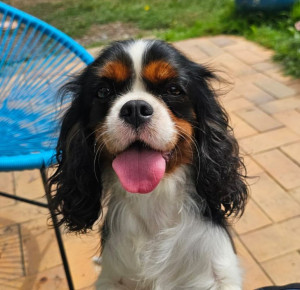 Photo de galerie - Visite a domicile