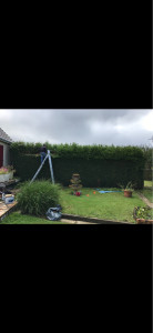 Photo de galerie - Taille de haies 