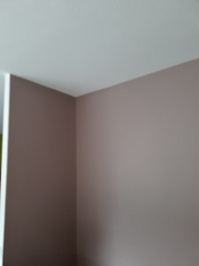 Photo de galerie - Finition d'un mur du salon en couleur 