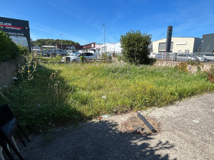 Photo de galerie - Tonte de pelouse - Débroussaillage