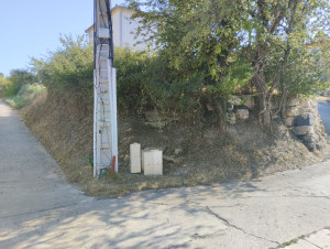 Photo de galerie - Tonte de pelouse - Débroussaillage