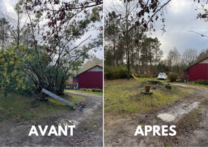 Photo de galerie - Suite à chute de neige et tempête 