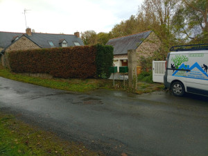 Photo de galerie - Taille de haie fini