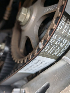 Photo de galerie - Distribution + pompe a eau twingo 1 essence ☑️