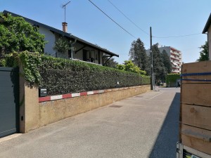 Photo de galerie - Taille de haie effectué 