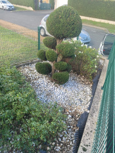 Photo de galerie - Après 