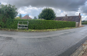 Photo de galerie - Taille de haies et d'arbustes