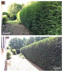 Photo de galerie - Avant apres 