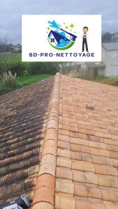 Photo de galerie - Couverture - Toiture