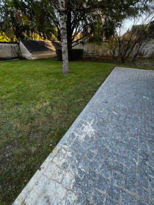 Photo de galerie - Entretien régulier jardin à Saint Avertin