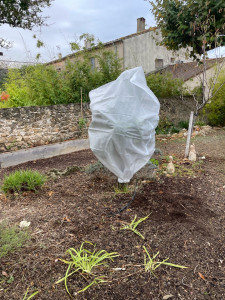 Photo de galerie - Entretien annuel avec 1 passage tout les 2 mois 