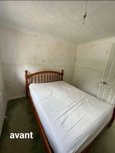 Photo de galerie - Peinture - Tapisserie