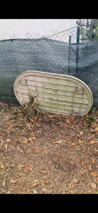 Photo de galerie - Taille complète puis nettoyage 