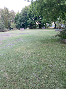 Photo de galerie - Paysagiste - Aménagement du jardin