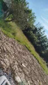 Photo de galerie - Tonte de pelouse - Débroussaillage