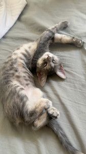 Photo de galerie - Elle est si mignonne. 