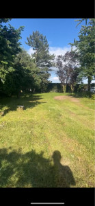 Photo de galerie - Tonte