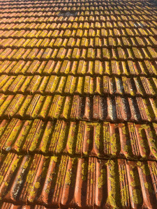 Photo de galerie - Demoussage de toiture avec produits professionnels d’Alep