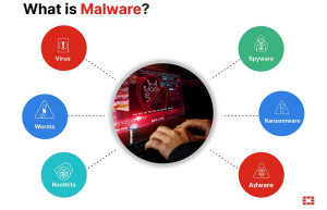 Photo de galerie - Malware-virus