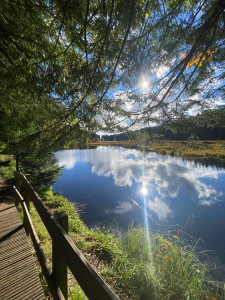 Photo de galerie - J’aime me promener 